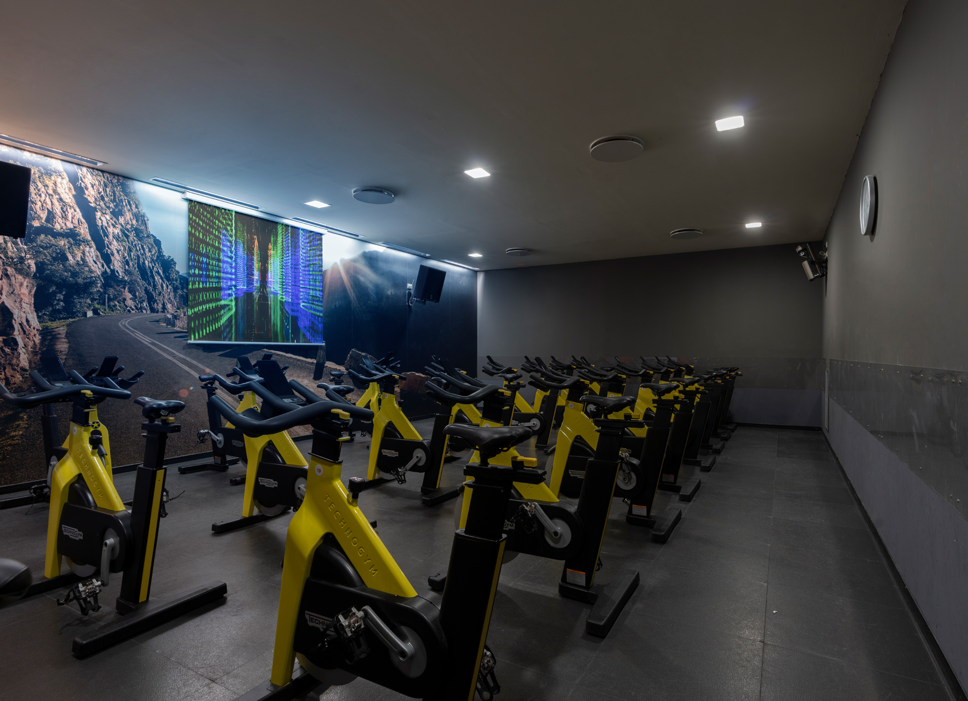 Studio Cycle