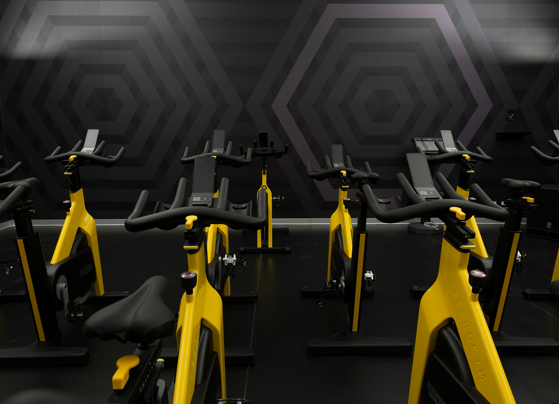 Studio Cycle