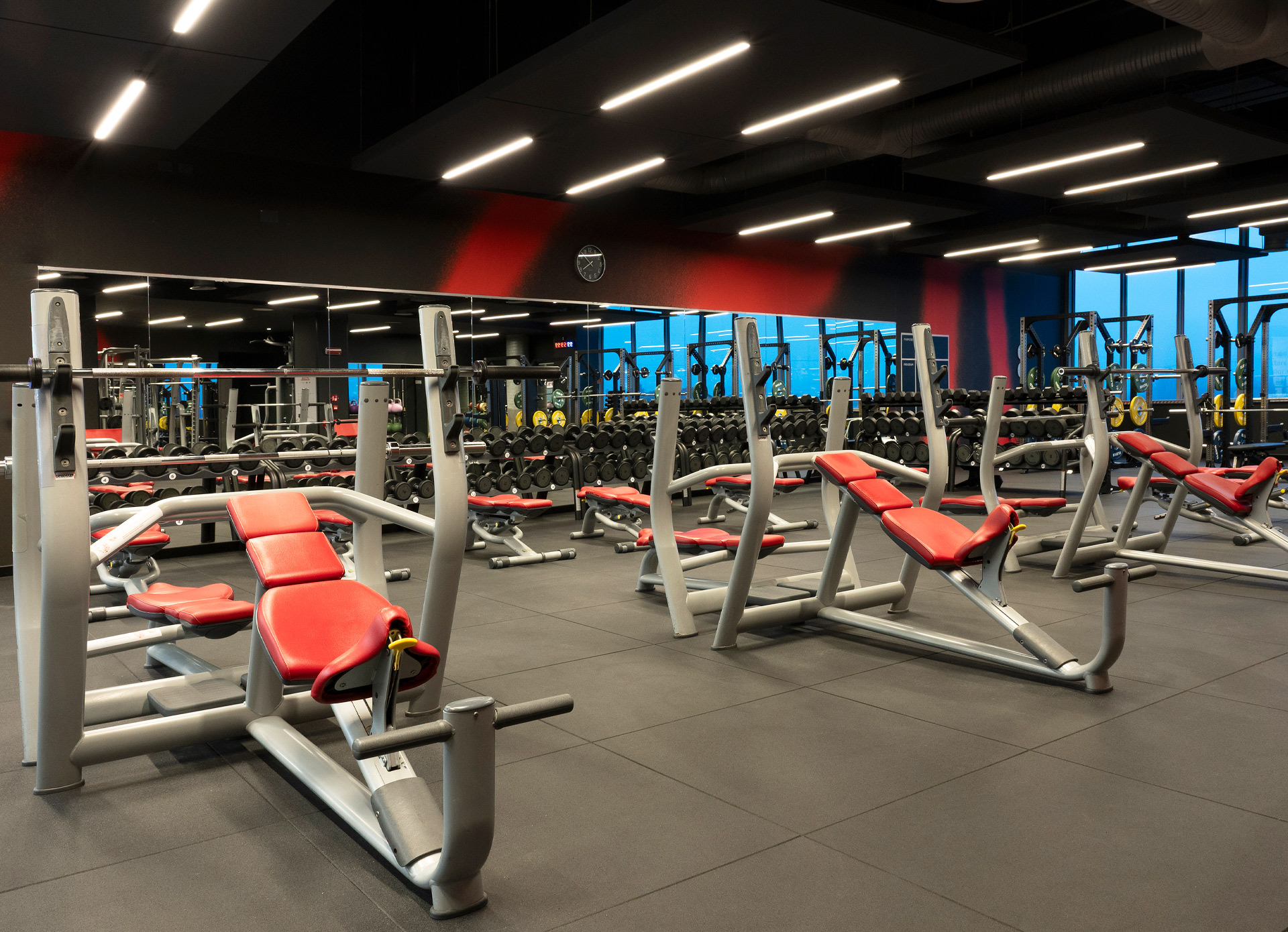 Gym Floor