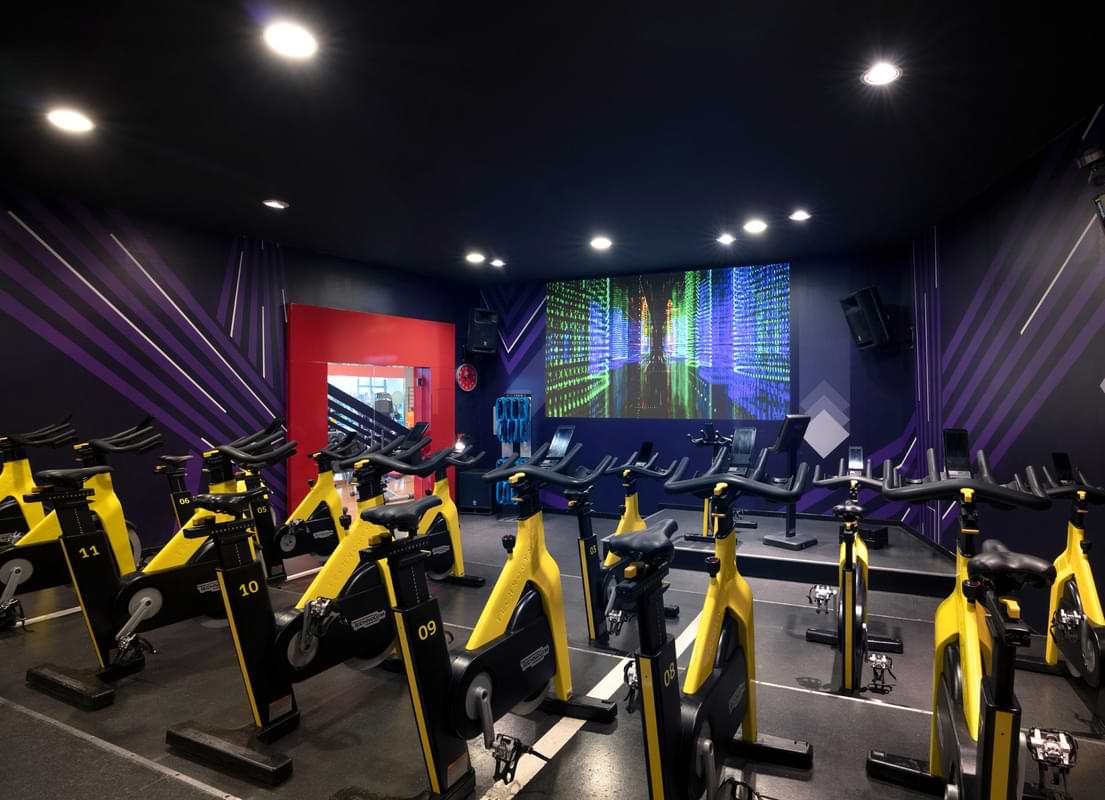 Studio Cycle