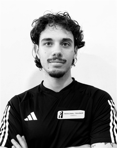 VALERIO DAMIANI